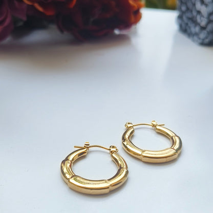 Melody Golden SS#07 Hoops Earrings