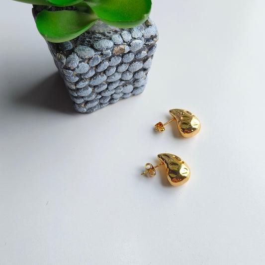 Mango Mood Earrings